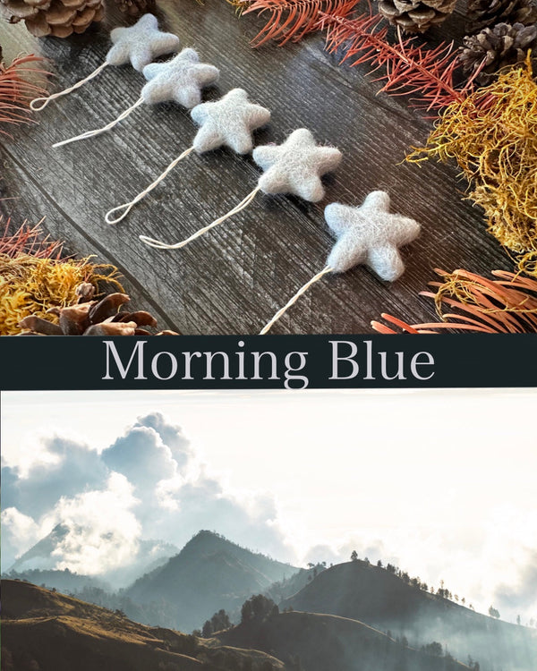 Wool Star Ornaments, Set of 5 – Morning Blue Needle-Felted