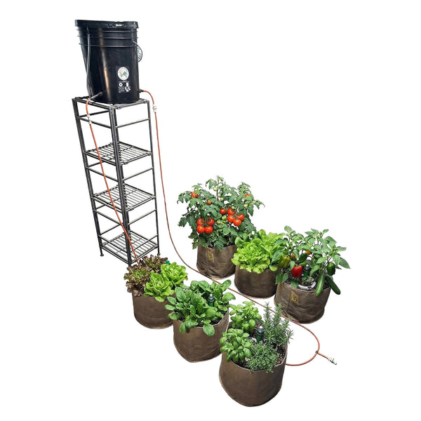 Blumat 6-pot Ready Set Grow irrigation kit with drip rings and gravity-fed reservoir bucket for small grow spaces