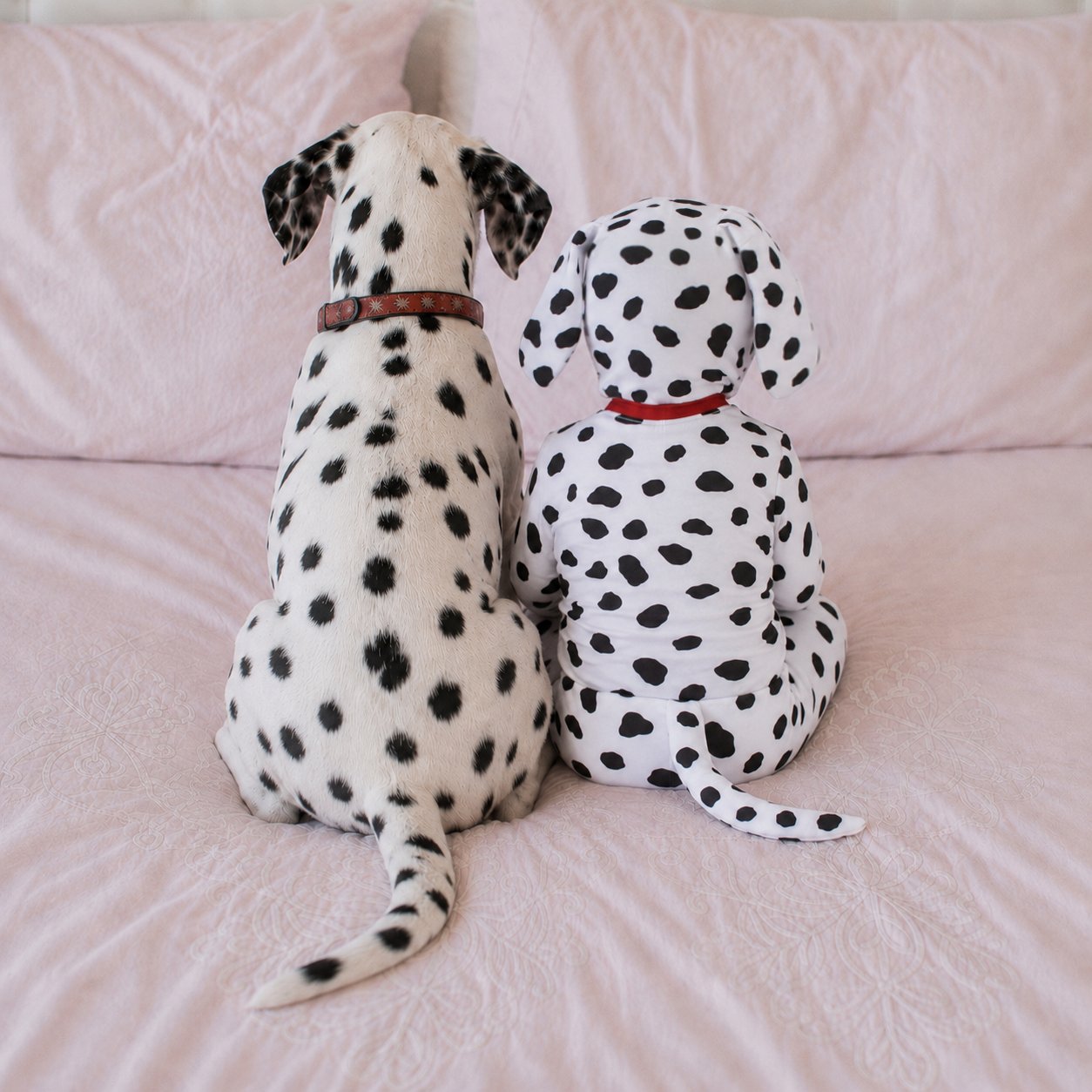 Baby Dalmatian Halloween Costume, Cotton Puppy Outfit