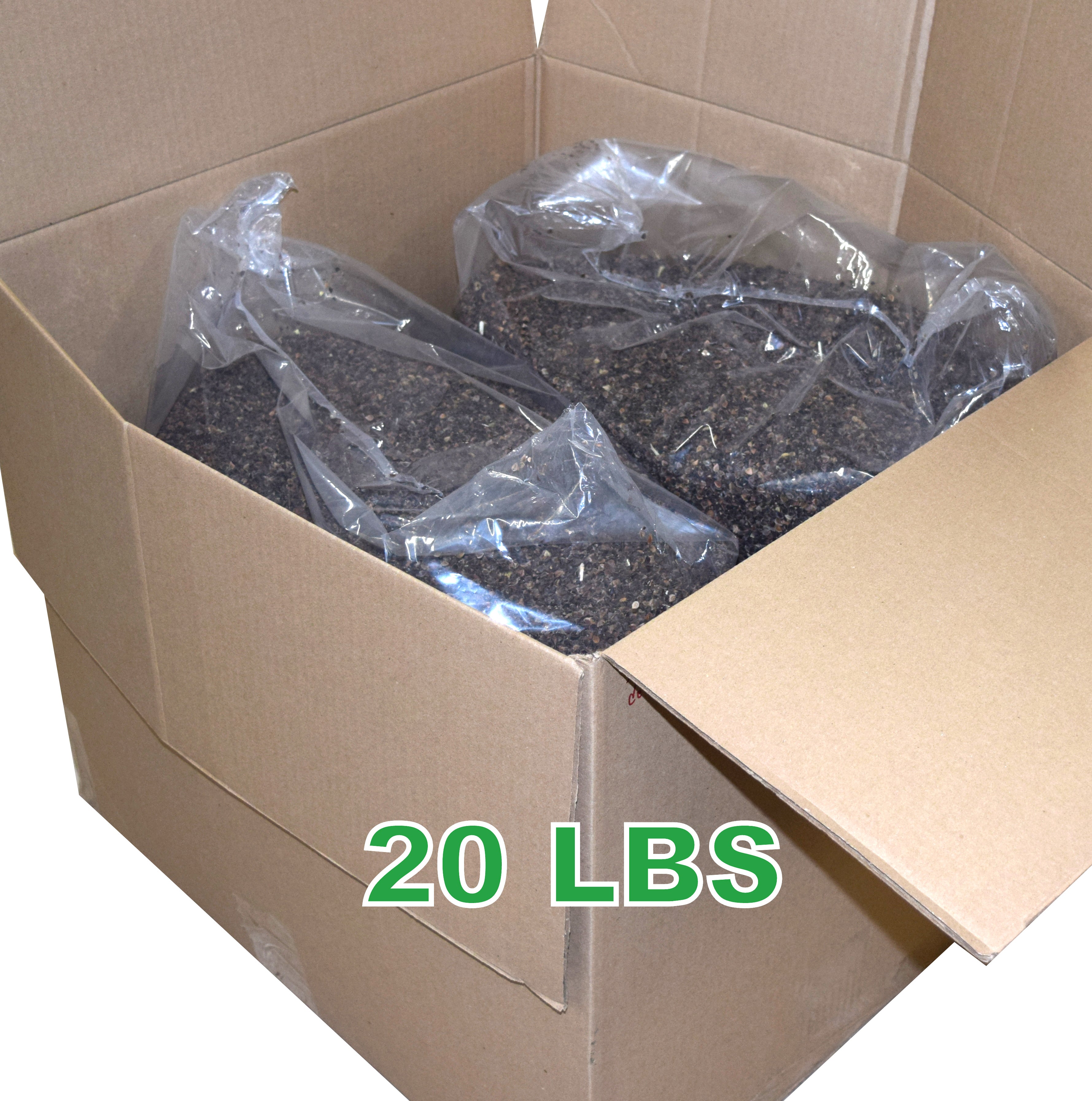 Buckwheat Hulls -Craft, Pillow, Cushion Fill - Organically grown in USA