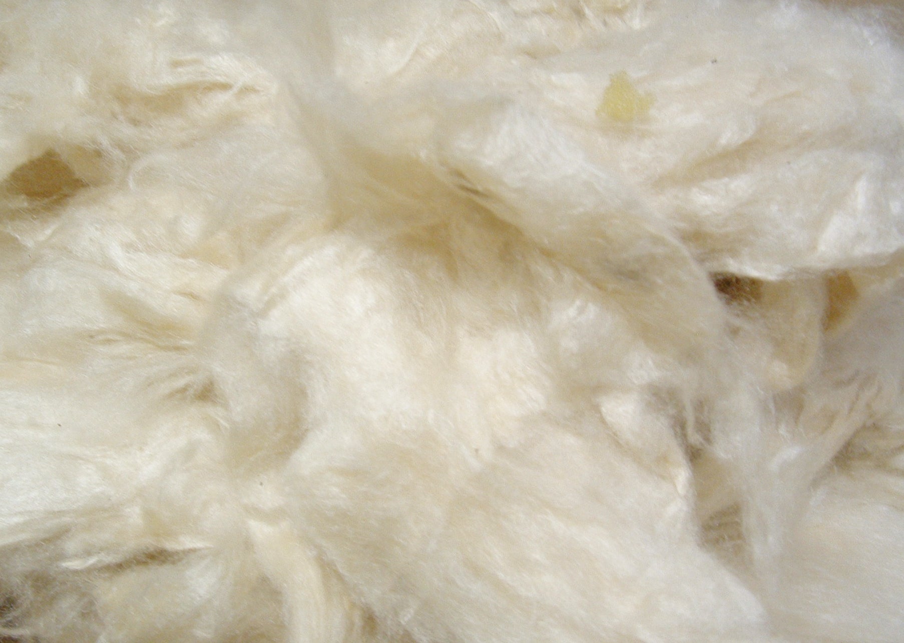 Kapok Fiber Fill Stuffing - Organic
