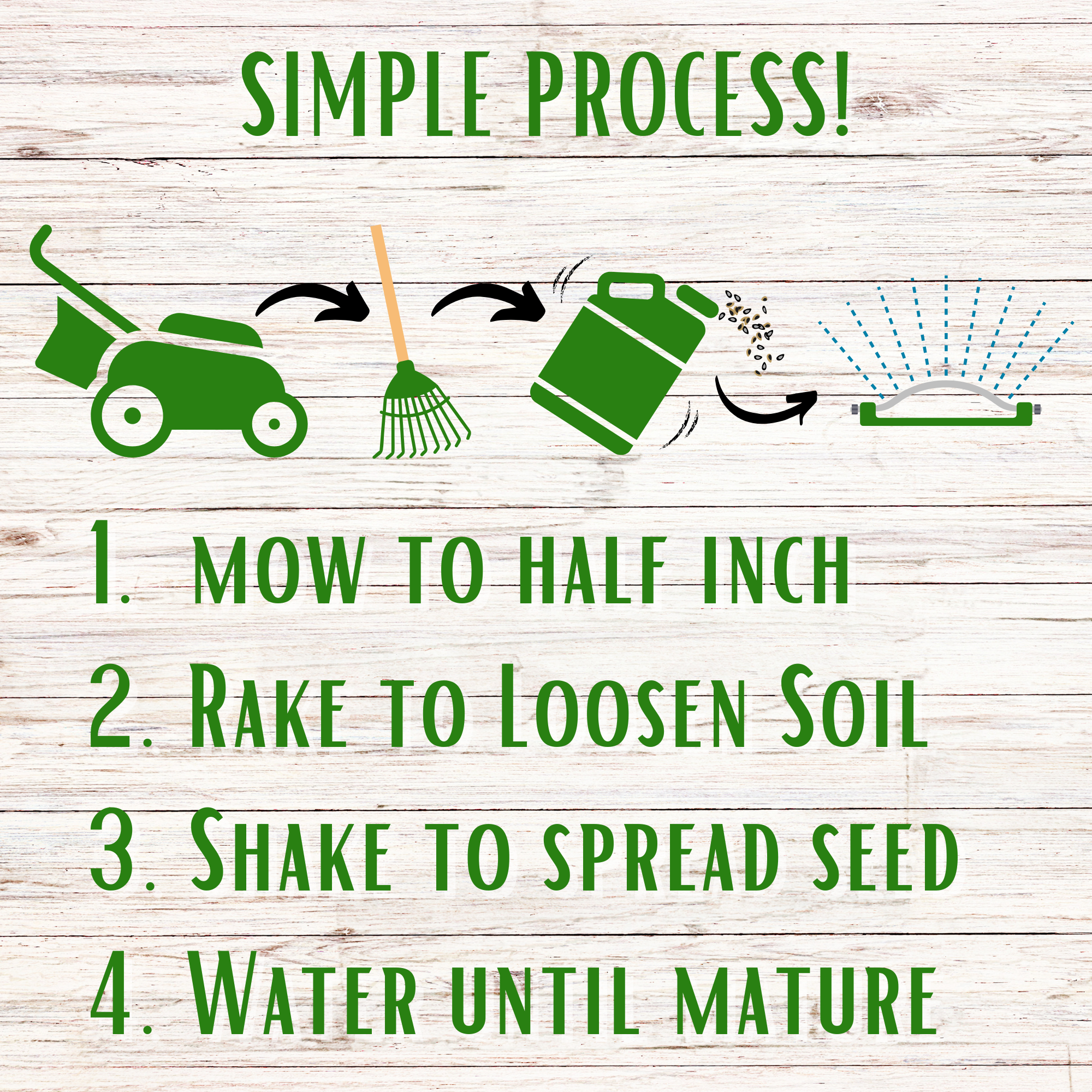 Speedy Bee Lawn Seed Kit: Quick Blooms for a Pollinator Paradise!