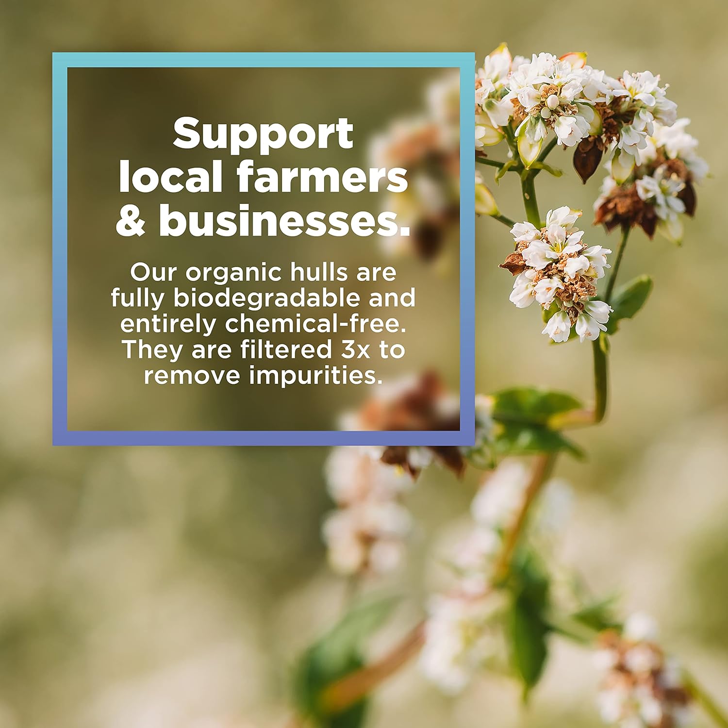 Floral plant with text overlay promoting local farmers and businesses.