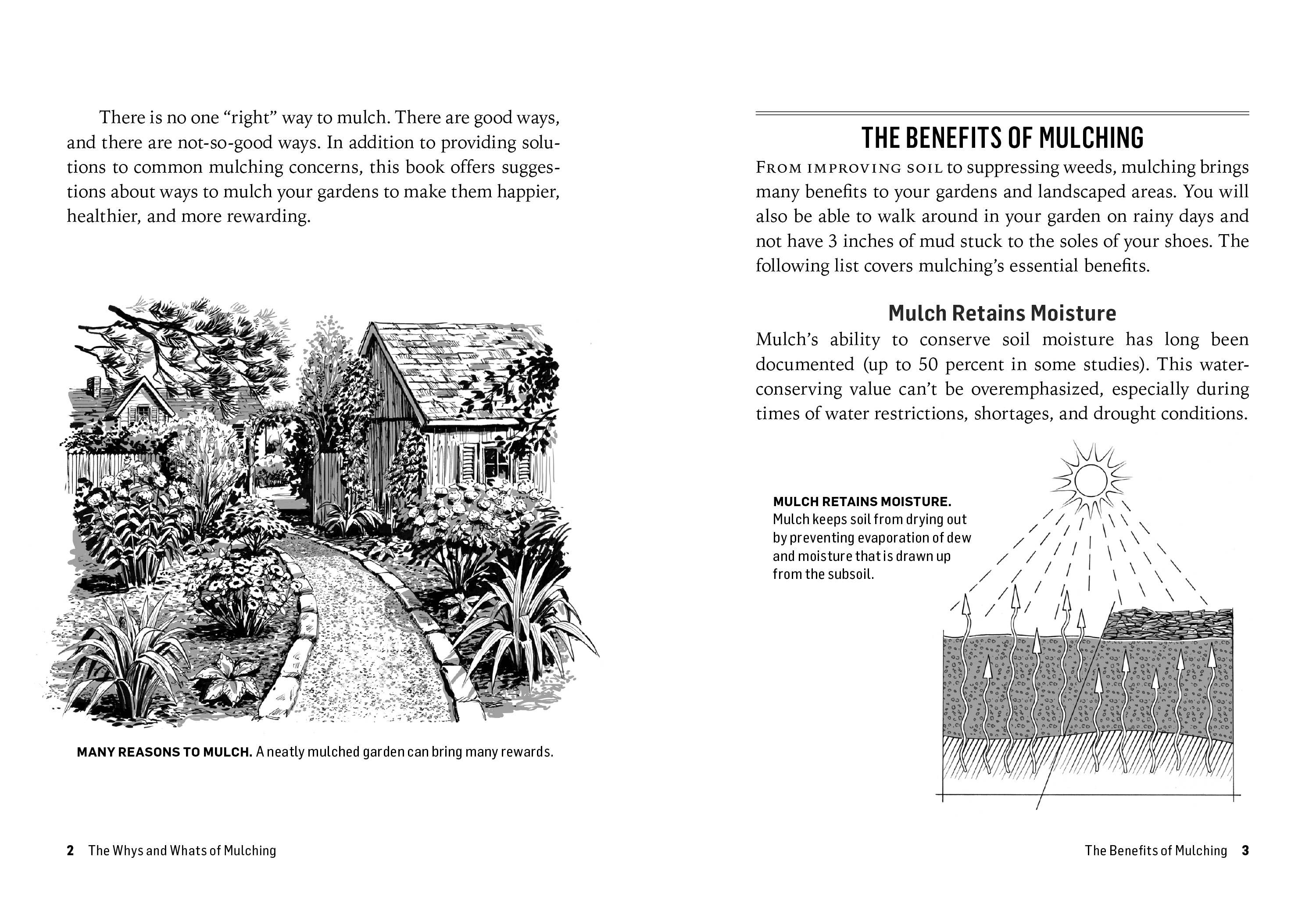 How to Mulch: Master the Art of Mulching for a Thriving Garden  🌿🌱🌻