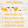 Step-by-step lawn care process with icons and text on a wooden background