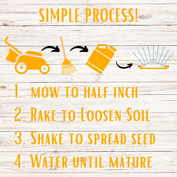 Step-by-step lawn care process with icons and text on a wooden background