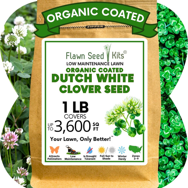 Dutch White Clover Seed: Your Resilient, Drought-Tolerant, Eco-Friendly Lawn Solution