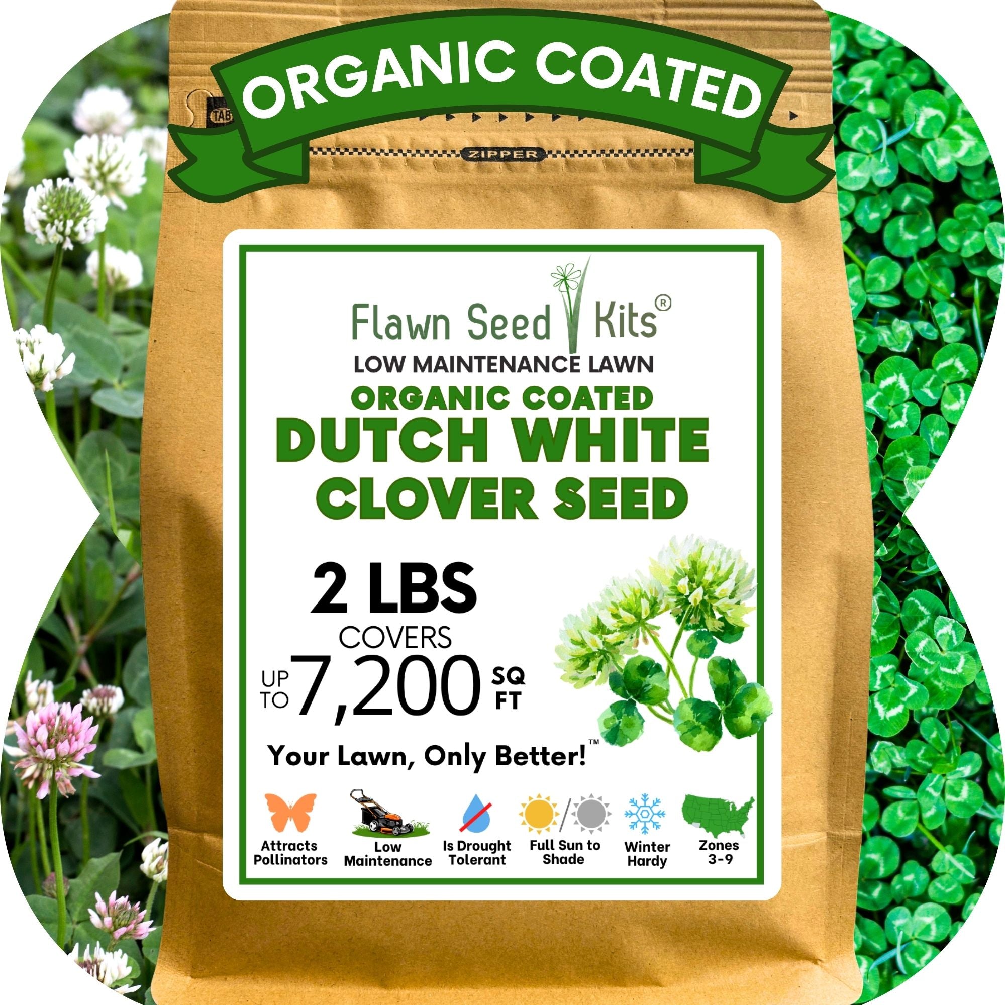 Dutch White Clover Seed: Your Resilient, Drought-Tolerant, Eco-Friendly Lawn Solution