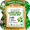 Dutch White Clover Seed: Your Resilient, Drought-Tolerant, Eco-Friendly Lawn Solution