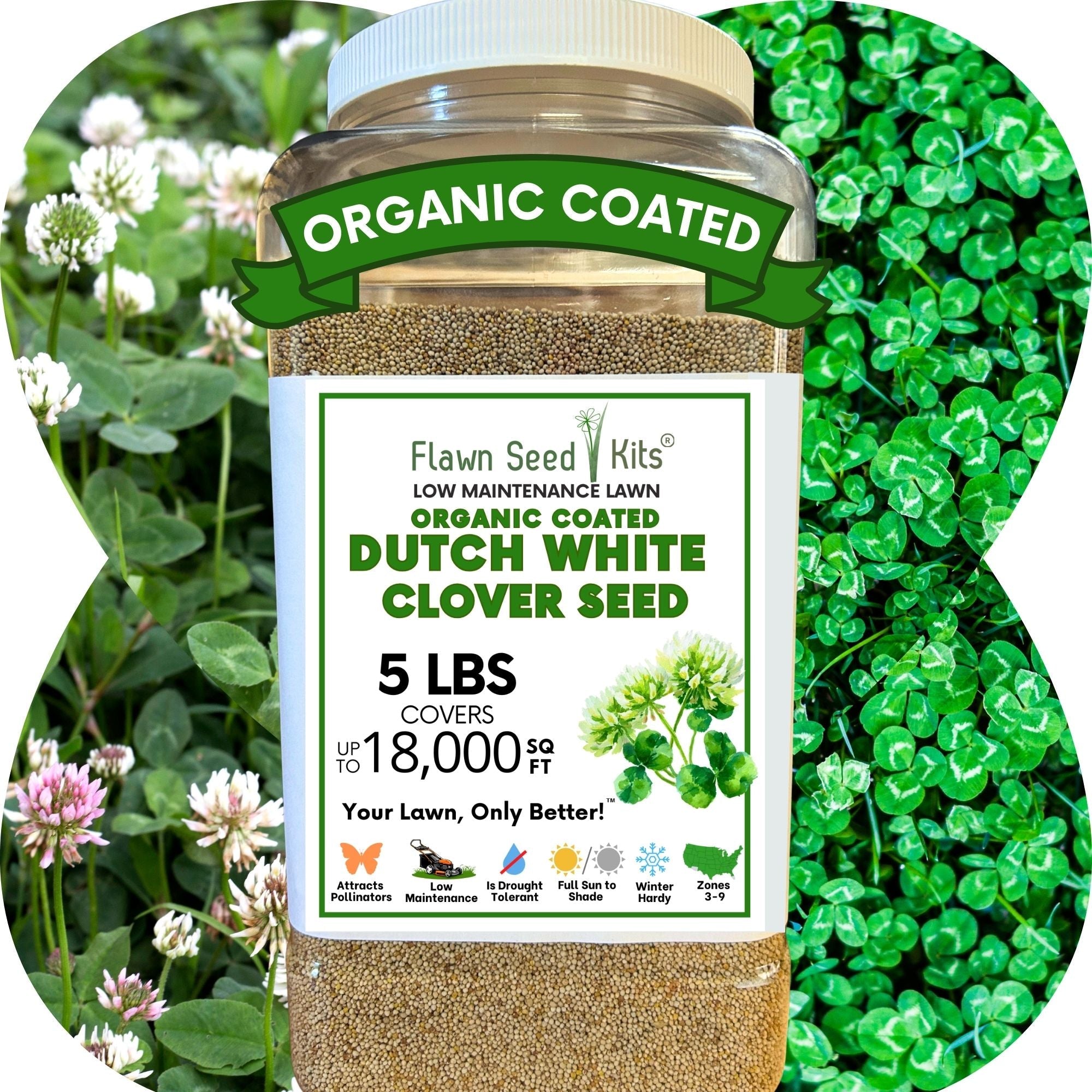Dutch White Clover Seed: Your Resilient, Drought-Tolerant, Eco-Friendly Lawn Solution