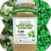 Dutch White Clover Seed: Your Resilient, Drought-Tolerant, Eco-Friendly Lawn Solution