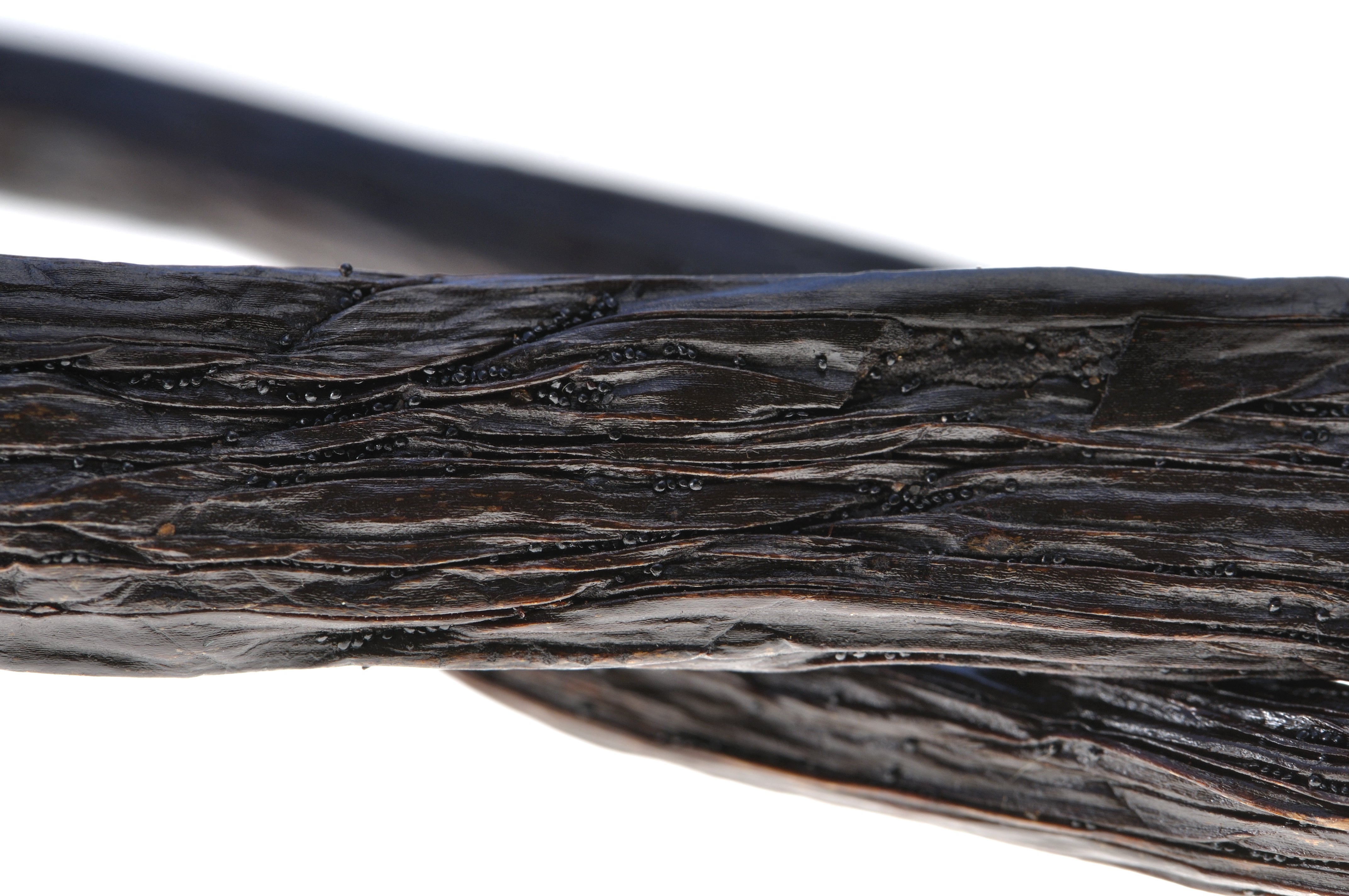 Close-up of a textured black surface with a blurred background