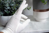 White gloves on a marble surface with a plant and vase in the background