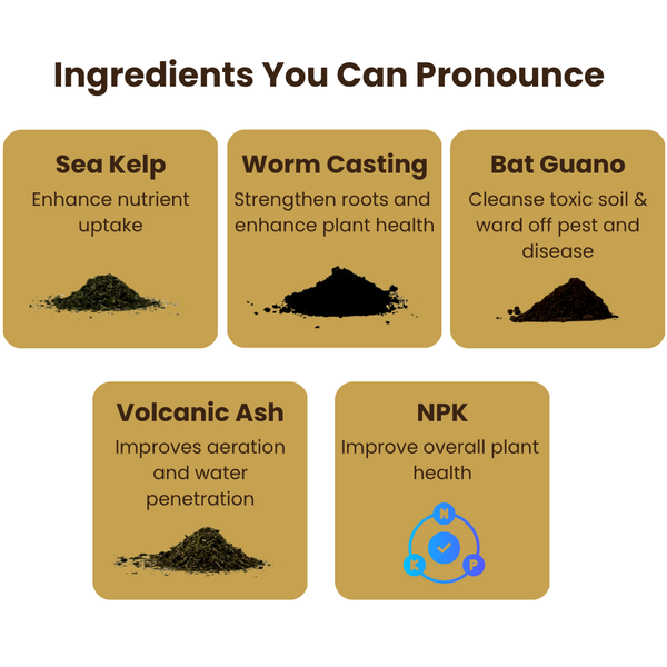 🌱 Ancient Soil – Organic Living Soil for Thriving Plants