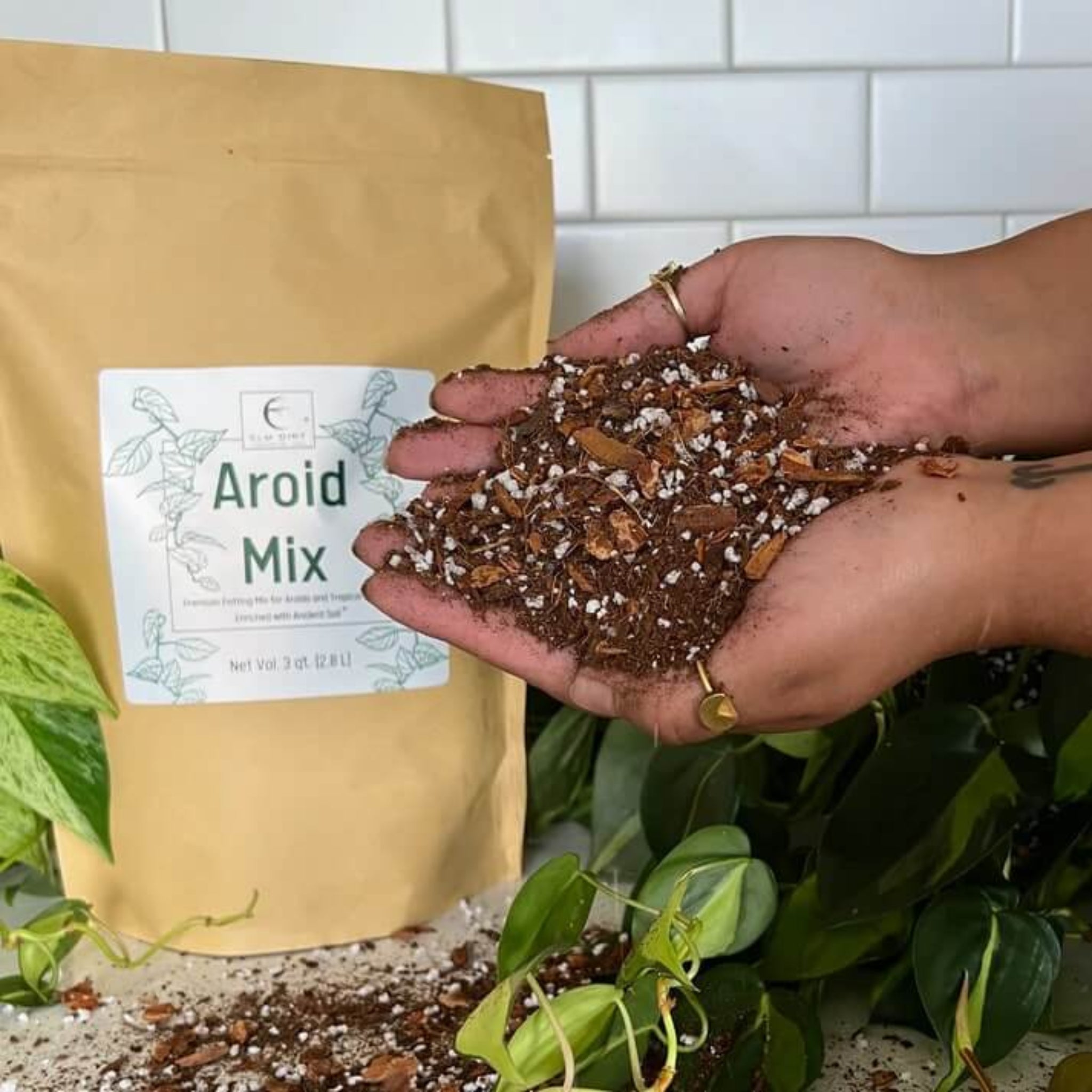 Hand holding a mixture of seeds or soil next to a bag labeled 'Aroid Mix' with plants in the background.