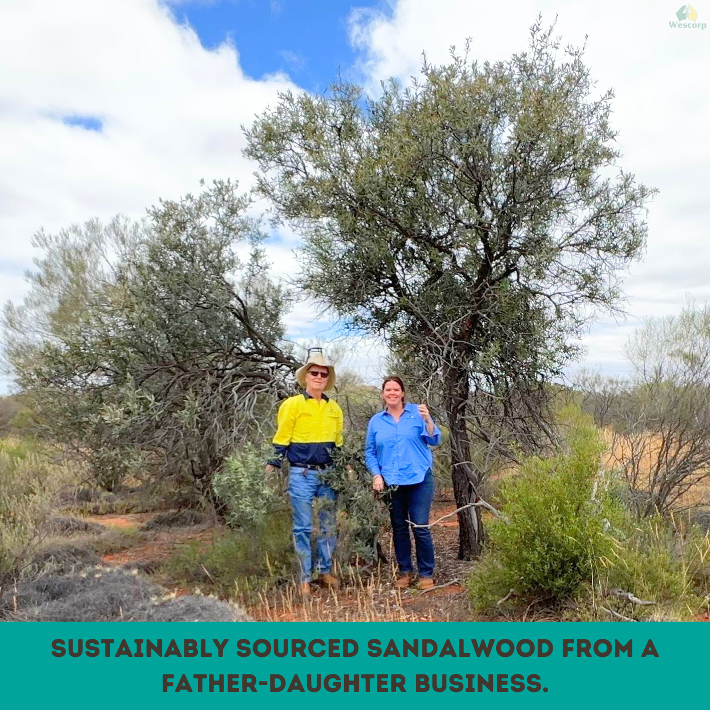 Two people standing under a sandalwood tree with text about sustainably sourced sandalwood from a father-daughter business.