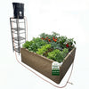 Raised garden bed with plants, black bucket, and metal stand on a white background