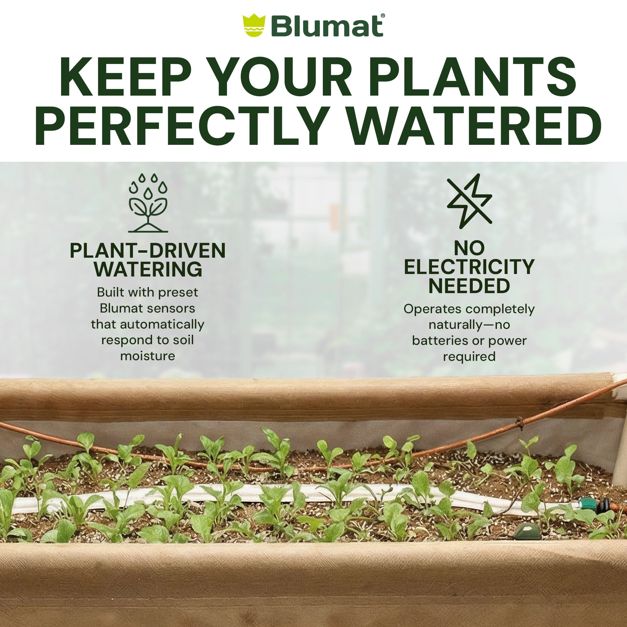 Blumat product for plant watering with text on plant-driven watering and electricity needs.
