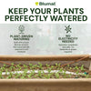Blumat product for plant watering with text on plant-driven watering and electricity needs.