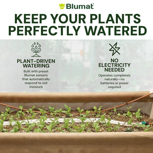Blumat product for plant watering with text on plant-driven watering and electricity needs.