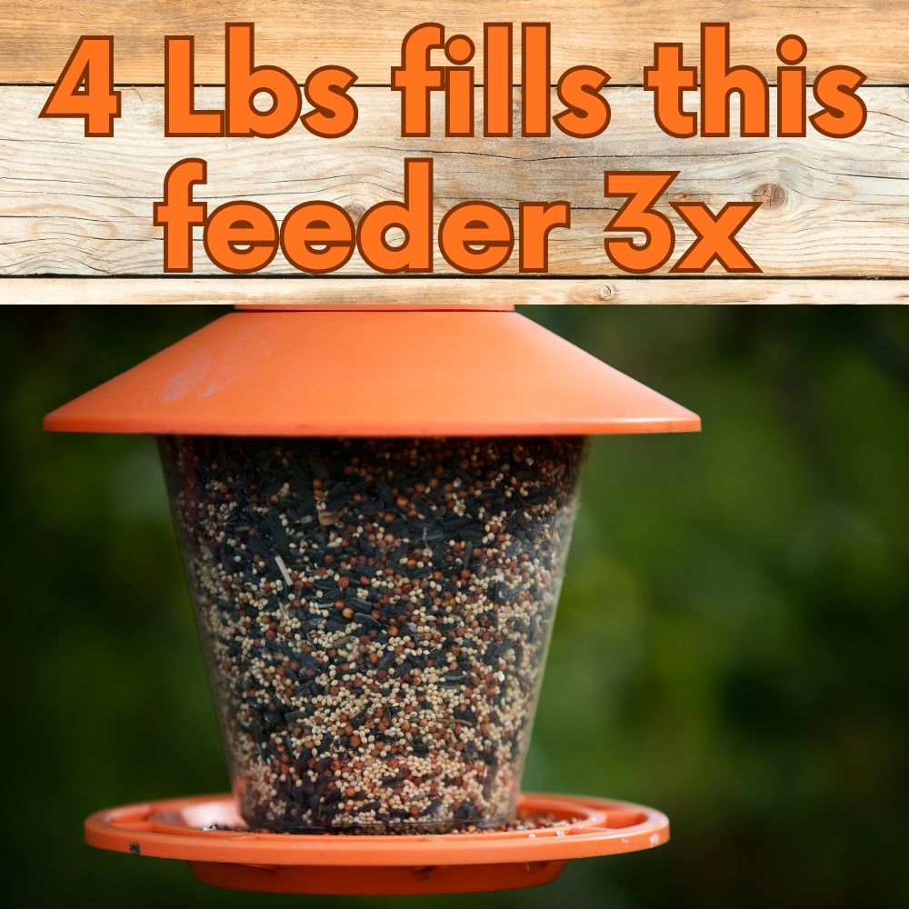 Songbird Symphony Wild Bird Seed Blend