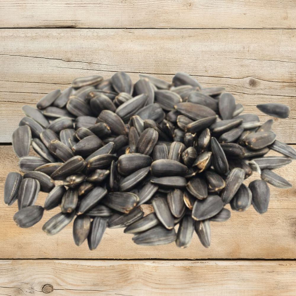 Pile of sunflower seeds on a wooden surface