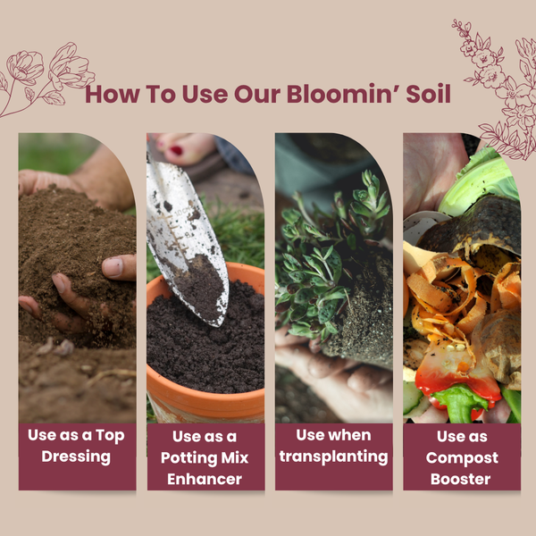 🌸 Bloomin' Soil – Organic Flower Booster for Bigger, Longer-Lasting Blooms
