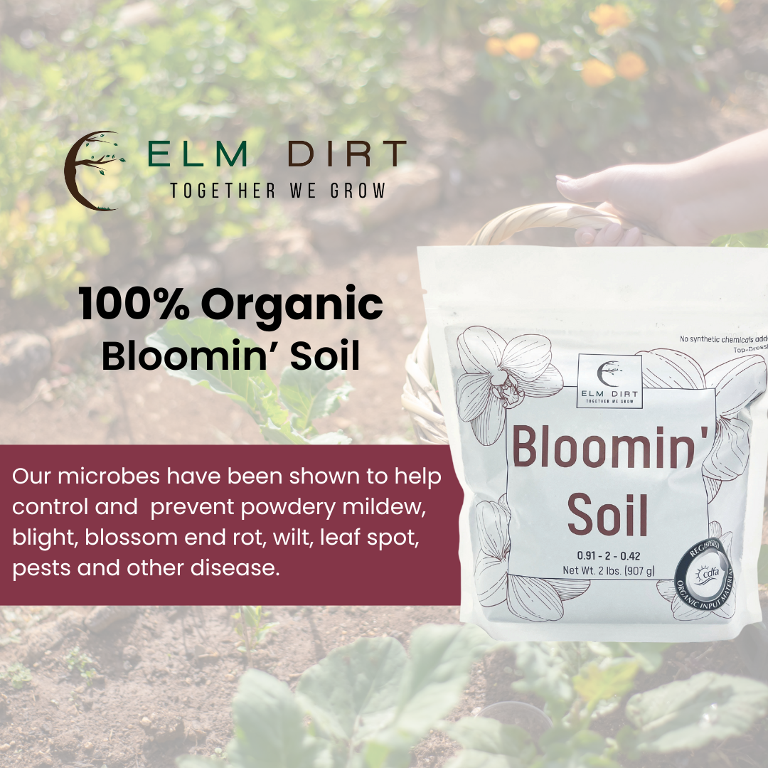 🌸 Bloomin' Soil – Organic Flower Booster for Bigger, Longer-Lasting Blooms