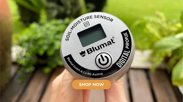 Blumat Digital Soil Moisture Sensor close-up showing probe and display unit