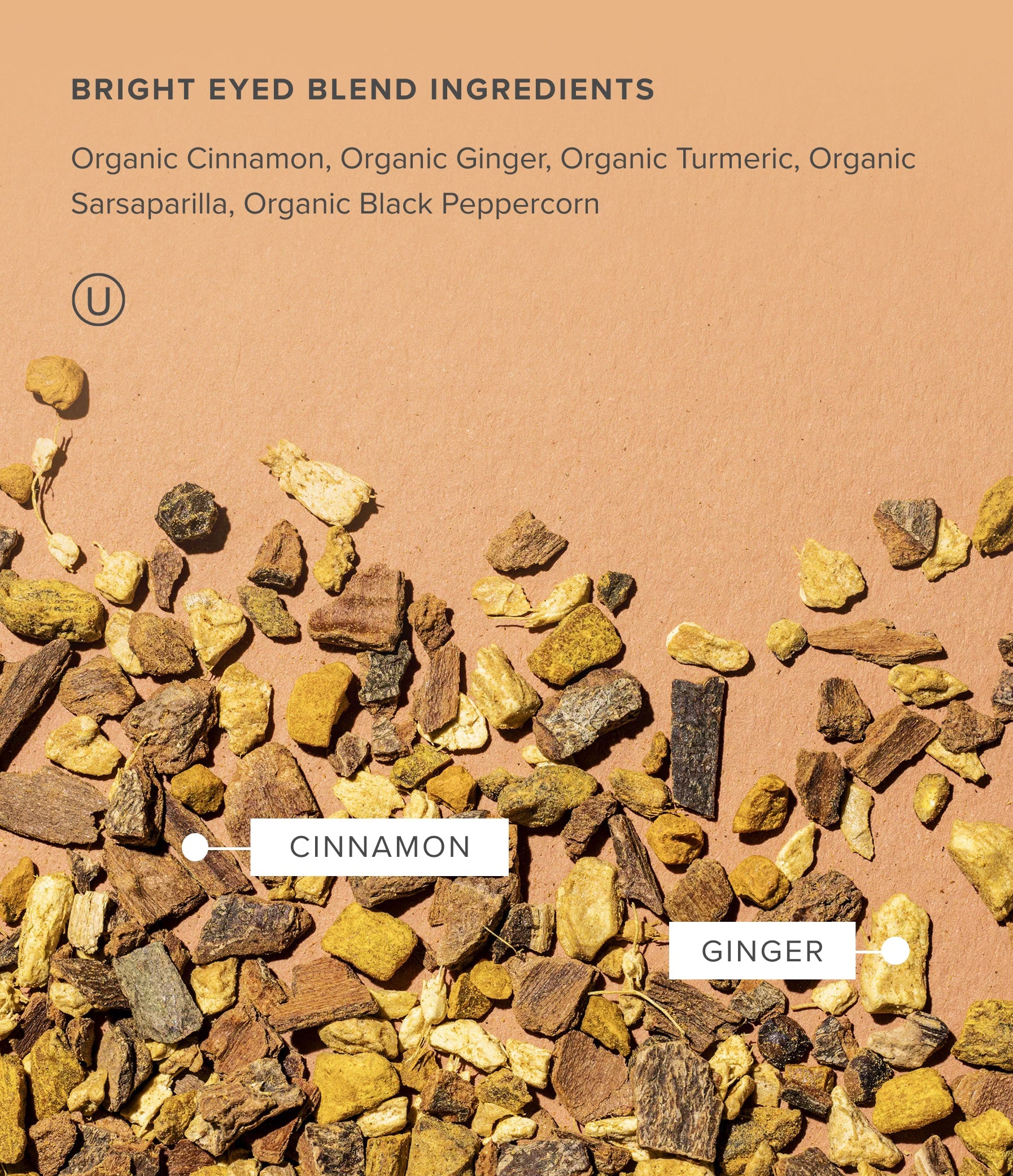 Organic spices including cinnamon, ginger, and turmeric — the key ingredients in Bright Eyed loose leaf blend