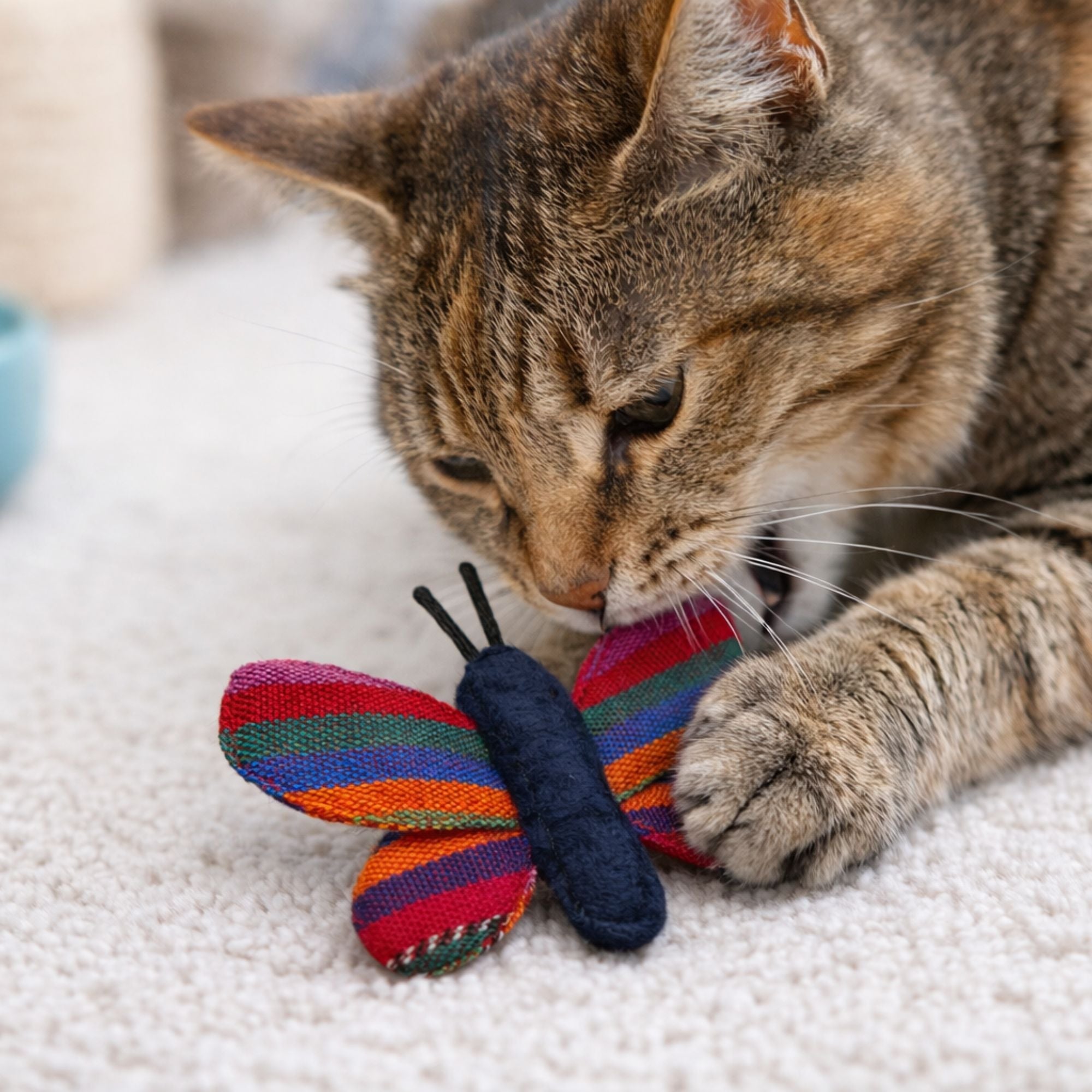Butterfly cat toy being played with by a cat
