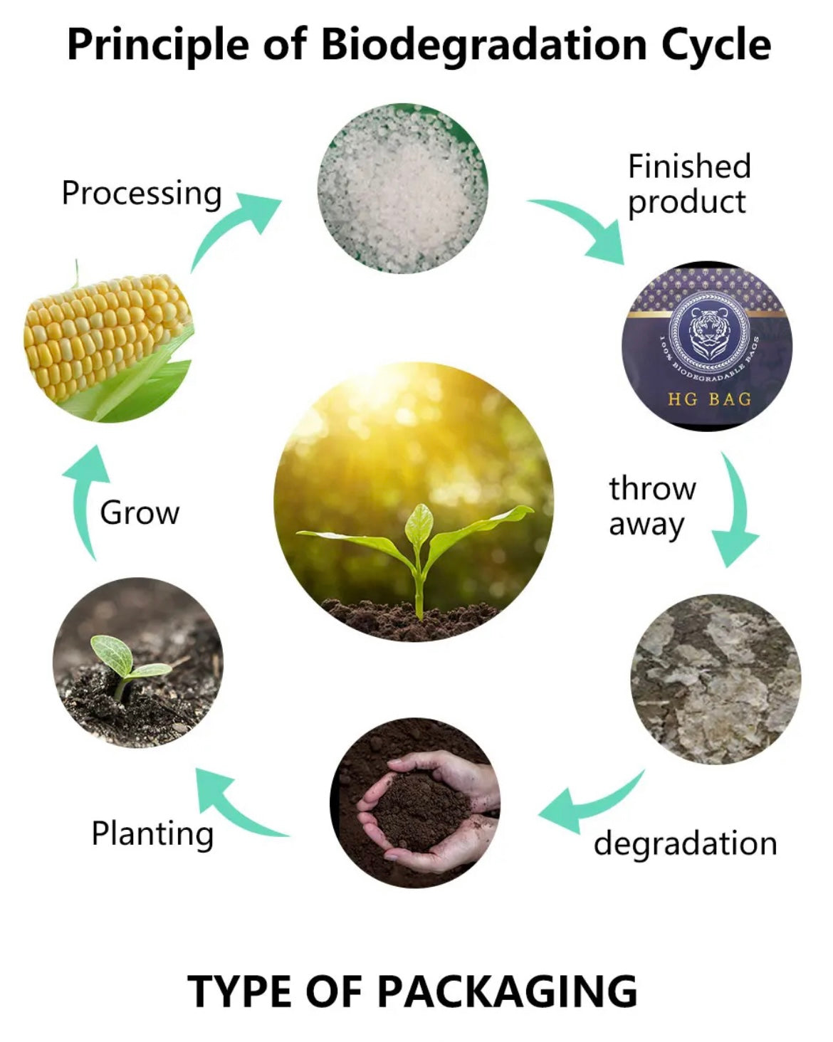 Onali Pure - Cornstarch Packaging Biodegradation Cycle
