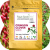 Crimson Clover Seed