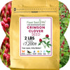 Crimson Clover Seed