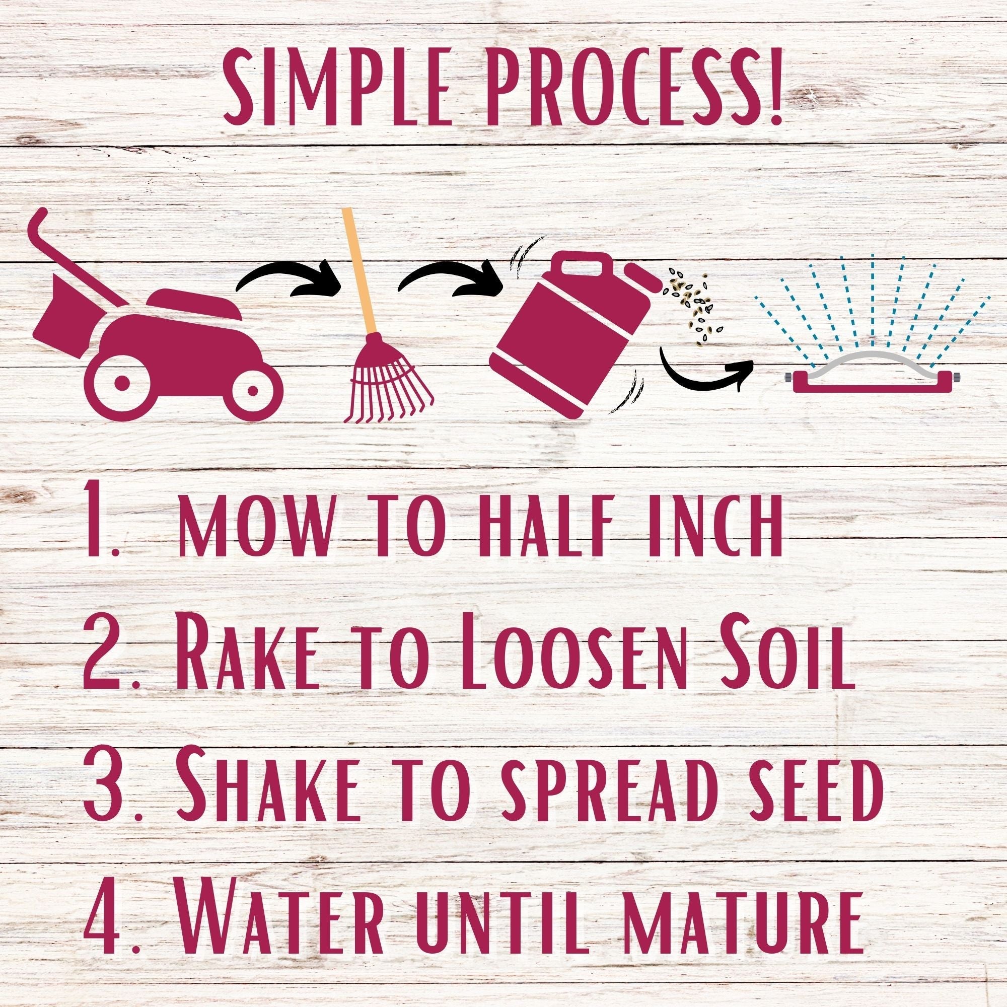 Crimson Clover + Mow Less Grass Seed – Eco-Friendly Lawn Mix for Pollinators & Low Maintenance