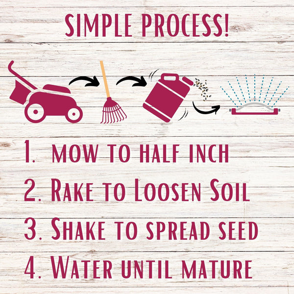 Crimson Clover + Mow Less Grass Seed – Eco-Friendly Lawn Mix for Pollinators & Low Maintenance