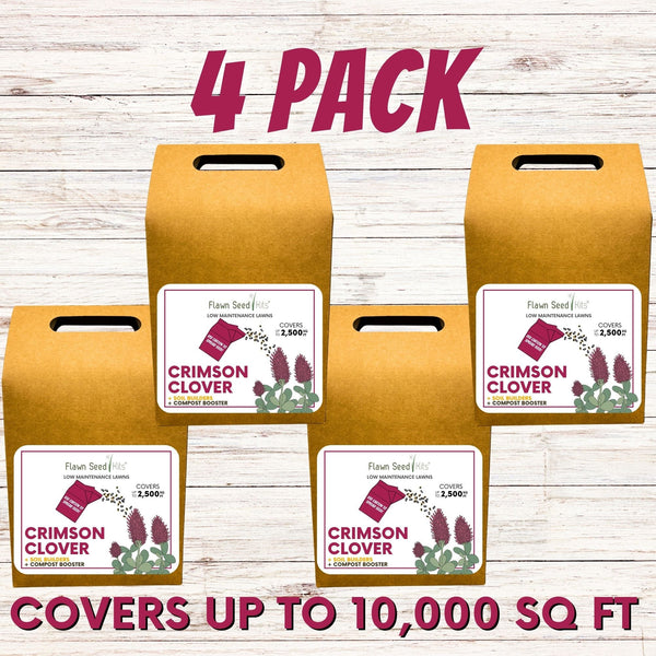 Crimson Clover Eco-Friendly Seeding Kit