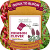 Crimson Clover Eco-Friendly Seeding Kit