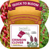 Crimson Clover Eco-Friendly Seeding Kit