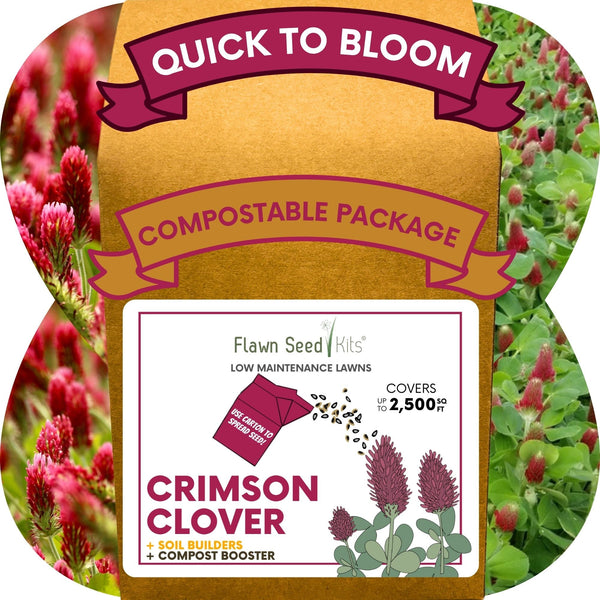 Crimson Clover Eco-Friendly Seeding Kit