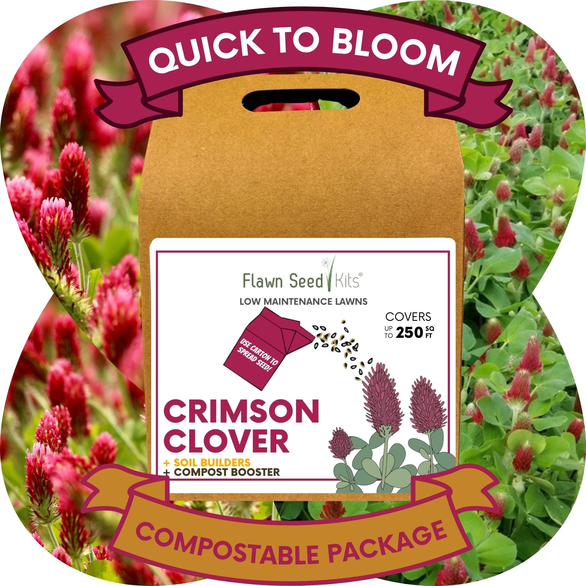 Crimson Clover Eco-Friendly Seeding Kit