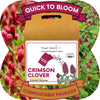 Crimson Clover Eco-Friendly Seeding Kit