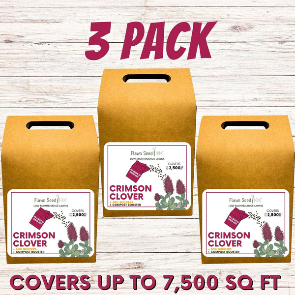 Crimson Clover Eco-Friendly Seeding Kit