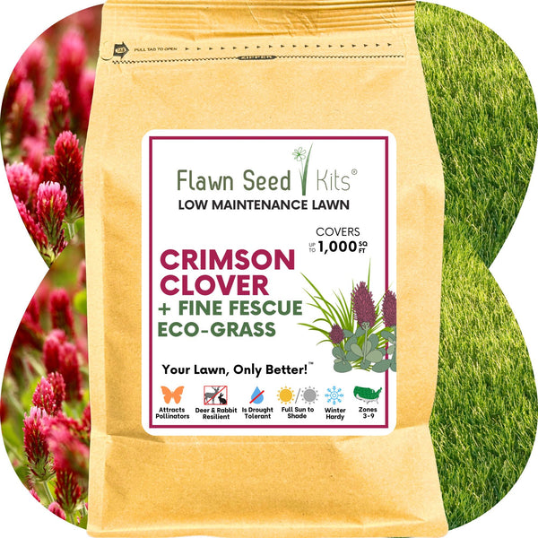 Crimson Clover + Mow Less Grass Seed – Eco-Friendly Lawn Mix for Pollinators & Low Maintenance