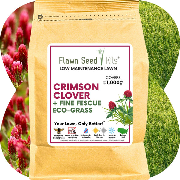 Crimson Clover + Mow Less Grass Seed – Eco-Friendly Lawn Mix for Pollinators & Low Maintenance