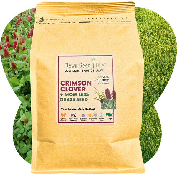 Crimson Clover + Mow Less Grass Seed – Eco-Friendly Lawn Mix for Pollinators & Low Maintenance