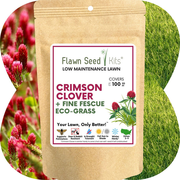 Crimson Clover + Mow Less Grass Seed – Eco-Friendly Lawn Mix for Pollinators & Low Maintenance