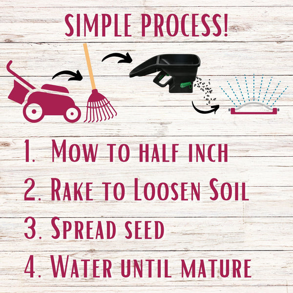 Crimson Clover + Mow Less Grass Seed – Eco-Friendly Lawn Mix for Pollinators & Low Maintenance