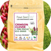 Crimson Clover + Mow Less Grass Seed – Eco-Friendly Lawn Mix for Pollinators & Low Maintenance