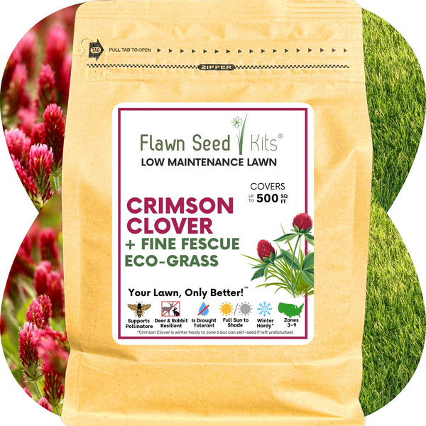 Crimson Clover + Mow Less Grass Seed – Eco-Friendly Lawn Mix for Pollinators & Low Maintenance